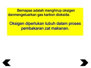 Bernapas adalah menghirup oksigen
danmengeluarkan gas karbon dioksida.

Oksigen diperlukan tubuh dalam proses
pembakaran zat makanan.

 