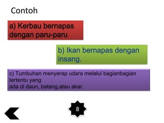Contoh
a) Kerbau bernapas
dengan paru-paru.
b) Ikan bernapas dengan
insang.
c) Tumbuhan menyerap udara melalui bagianbagian
tertentu yang
ada di daun, batang,atau akar.

8

 