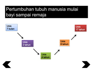 Pertumbuhan tubuh manusia mulai
bayi sampai remaja
Usia
7 bulan

Usia
17 tahun

Usia
8 tahun

Usia
2 tahun

Usia
4 tahun

 