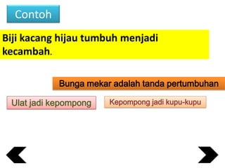 Contoh
Biji kacang hijau tumbuh menjadi
kecambah.
Bunga mekar adalah tanda pertumbuhan
Ulat jadi kepompong

Kepompong jadi kupu-kupu

 