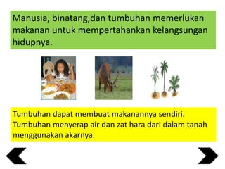 Manusia, binatang,dan tumbuhan memerlukan
makanan untuk mempertahankan kelangsungan
hidupnya.

Tumbuhan dapat membuat makanannya sendiri.
Tumbuhan menyerap air dan zat hara dari dalam tanah
menggunakan akarnya.

 