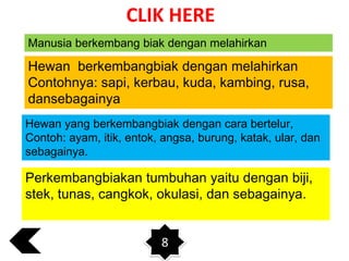 CLIK HERE
Manusia berkembang biak dengan melahirkan

Hewan berkembangbiak dengan melahirkan
Contohnya: sapi, kerbau, kuda, kambing, rusa,
dansebagainya
Hewan yang berkembangbiak dengan cara bertelur,
Contoh: ayam, itik, entok, angsa, burung, katak, ular, dan
sebagainya.

Perkembangbiakan tumbuhan yaitu dengan biji,
stek, tunas, cangkok, okulasi, dan sebagainya.

8

 