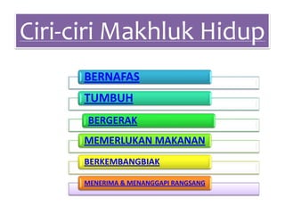 Ciri-ciri Makhluk Hidup
BERNAFAS

TUMBUH
BERGERAK

MEMERLUKAN MAKANAN
BERKEMBANGBIAK
MENERIMA & MENANGGAPI RANGSANG

 