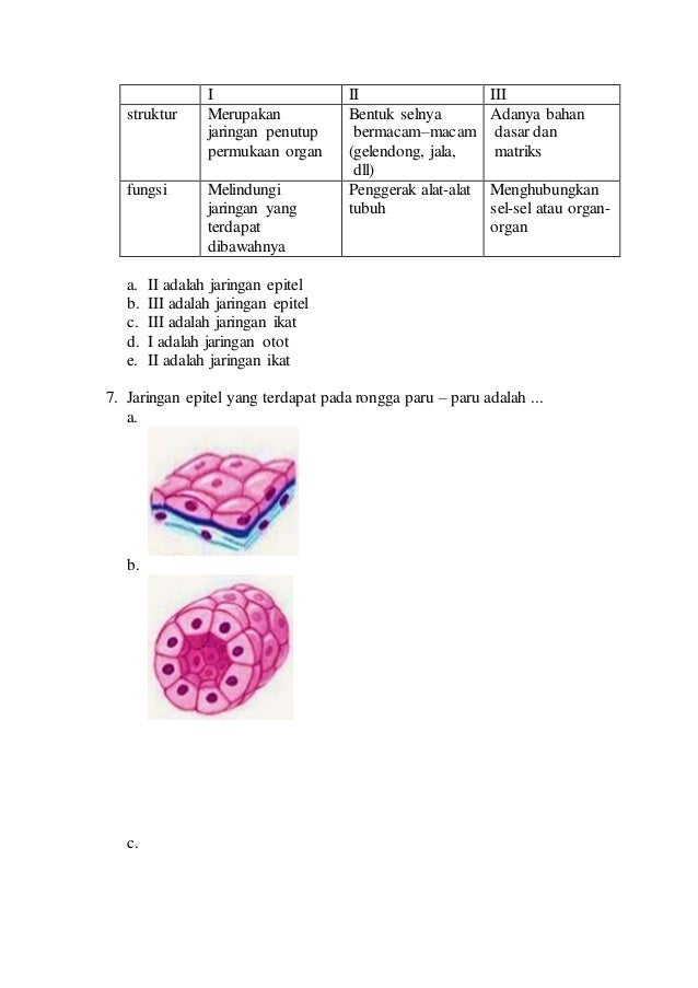 Uji Kompetensi Biologi  Jaringan  Hewan  BAB  3