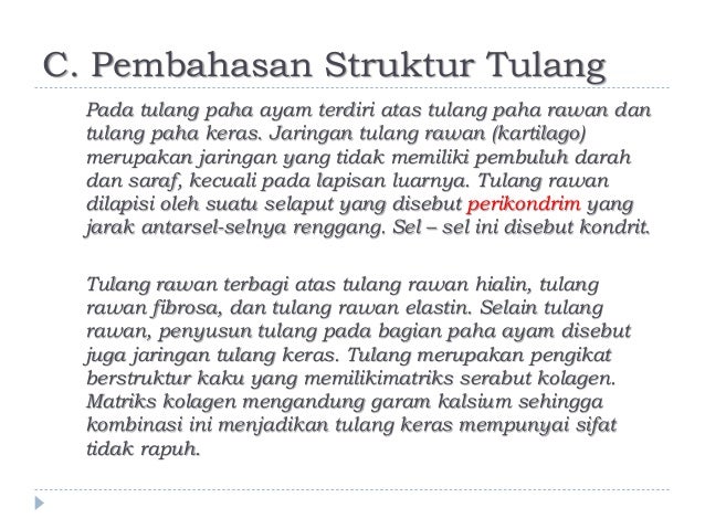 AKTIVITAS ILMIAH 3 1 MENGAMATI STRUKTUR TULANG PAHA  AYAM  