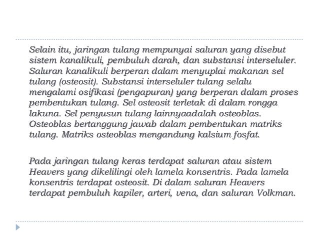 AKTIVITAS ILMIAH 3 1 MENGAMATI STRUKTUR TULANG PAHA AYAM AKTIVITAS ILMIAH 3 1 MENGAMATI STRUKTUR TULANG PAHA AYAM