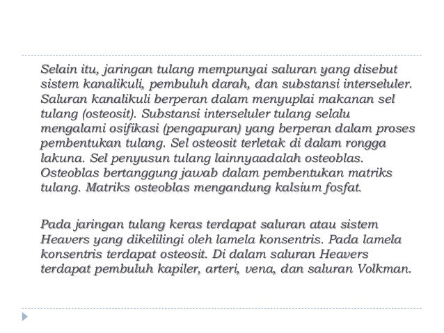 AKTIVITAS ILMIAH 3 1 MENGAMATI STRUKTUR TULANG PAHA  AYAM  