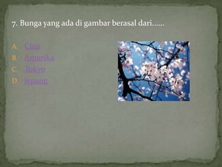 7. Bunga yang ada di gambar berasal dari......
A. Cina
B. Amerika
C. Tokyo
D. Jepang
 