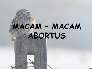MACAM – MACAM
ABORTUS
 