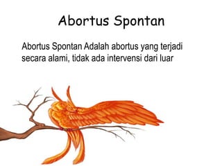 Abortus Spontan
Abortus Spontan Adalah abortus yang terjadi
secara alami, tidak ada intervensi dari luar
 