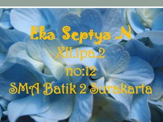 Eka Septya .N
XII.ipa.2
no:12
SMA Batik 2 Surakarta

 