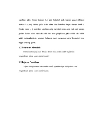 kepadatan gulma Bromus tectorum (L.) tidak bertambah pada tanaman gandum (Triticum 
aestivum L.) yang ditanam pada musim winter dan dirotasikan dengan tanaman kanola ( 
Brassica napus L .), sedangkan kepadatan gulma meningkat secara cepat pada saat tanaman 
gandum ditanam secara monokultur.Salah satu usaha pengendalian gulma melalui kultur teknis 
adalah menggunakan jenis tanaman budidaya yang mempunyai daya kompetisi yang 
tinggi terhadap gulma. 
1.2 Rumusan Masalah 
Permasalahan yang akan dibahas dalam makalah ini adalah bagaimana 
pengendalian gulma secara kultur tekhnis? 
1.3 Tujuan Penulisan 
Tujuan dari penulisan makalah ini adalah agar kita dapat mengetahui cara 
pengendalian gulma secara kultur tekhnis. 
 
