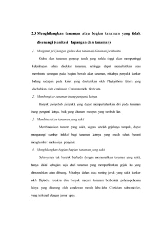 2.3 Menghilangkan tanaman atau bagian tanaman yang tidak
disenangi (sanitasi lapangan dan tanaman)
1. Mengatur penyiangan gulma dan tanaman-tanaman pembantu
Gulma dan tanaman penutup tanah yang terlalu tinggi akan mempertinggi
kelembapan udara disekitar tanaman, sehingga dapat menyebabkan atau
membantu serangan pada bagian bawah akar tanaman, misalnya penyakit kanker
bidang sadapan pada karet yang disebabkan oleh Phytopthora faberi yang
disebabkan oleh cendawan Ceratostomella fimbriata.
2. Membongkar tanaman inang penganti lainya
Banyak penyebab penyakit yang dapat mempertahankan diri pada tanaman
inang penganti lainya, baik yang ditanam maupun yang tumbuh liar.
3. Membinasakan tanaman yang sakit
Membinasakan tanamn yang sakit, segera setelah gejalanya tampak, dapat
mengurangi sumber infeksi bagi tanaman lainnya yang masih sehat: berarti
menghambat meluasnya penyakit.
4. Menghilangkan bagian-bagian tanaman yang sakit
Sebenarnya tak banyak berbeda dengan memusnahkan tanaman yang sakit,
hanya disini sebagian saja dari tanaman yang memperlihatkan gejala itu yang
dimusnahkan atau dibuang. Misalnya dahan atau ranting jeruk yang sakit kanker
oleh Diplodia natalens dan banyak macam tanaman berbentuk pohon-pohonan
lainya yang diserang oleh cendawan rumah laba-laba Corticium salmonicolor,
yang terkenal dengan jamur upas.
 