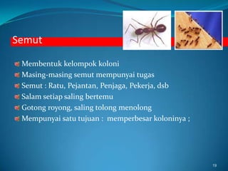  LANGKAH - LANGKAH UTAMALangkah  IMeliputi: penentuantugasutama, kegiatan-kegiatan, perilaku, ataukewajiban yang akandilaksanakandalampekerjaanLangkah IIMeliputi: penetapanpengetahuan (knowledge), kemampuan (abilities), Kecakapan (skills) dankarakterlainnya yang dibutuhkanuntukmelaksanakantugas-tugas.Hasil Analisis Jabatan :Deskripsi Pekerjaan (Job Description)