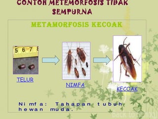 Tugas media pembelajaran