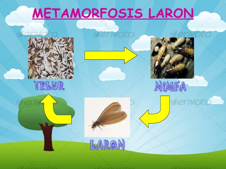 Tugas media pembelajaran Tugas media pembelajaran