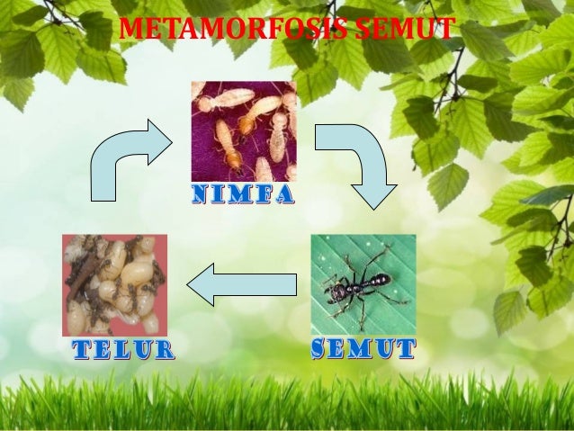 Tugas media pembelajaran