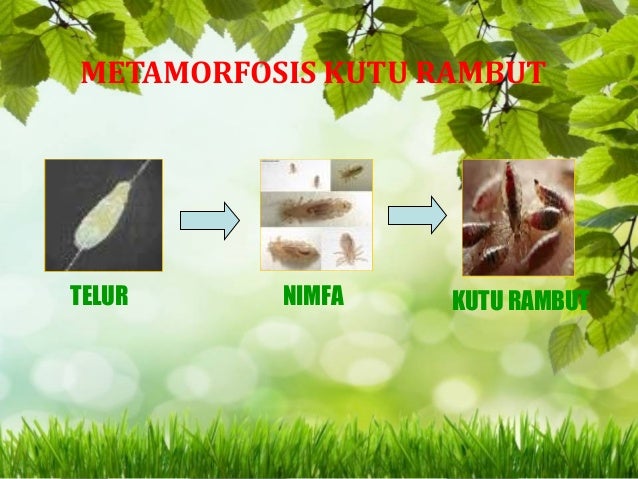 Tugas media pembelajaran