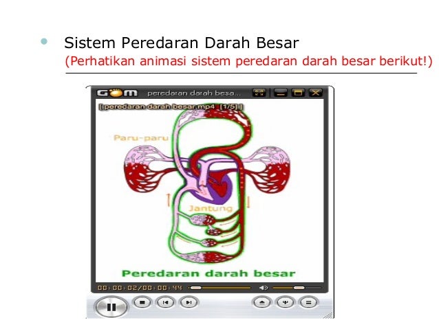 Animasi Gambar Darah