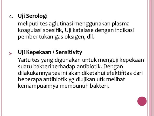 Mikrobiologi Bakteri