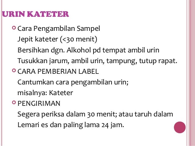 Mikrobiologi Bakteri