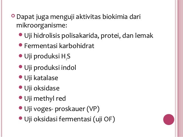 Mikrobiologi Bakteri