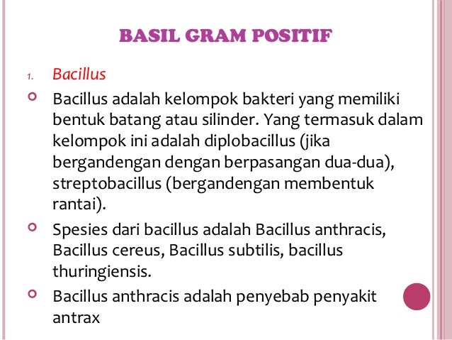 Mikrobiologi Bakteri