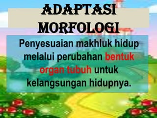 Adaptasi
Morfologi
Penyesuaian makhluk hidup
melalui perubahan bentuk
organ tubuh untuk
kelangsungan hidupnya.
 