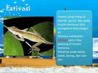 Estivasi
Hewan yang hidup di
daerah gurun dan pada
musim kemarau bisa
mengalami kekurangan
air .
Mereka melakukan
estivasi yaitu tidur
panjang di musim
kemarau.
Misalnya pada kadal,
katak, keong, dan lain-
lain
 