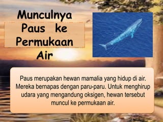 Munculnya
Paus ke
Permukaan
Air
Paus merupakan hewan mamalia yang hidup di air.
Mereka bernapas dengan paru-paru. Untuk menghirup
udara yang mengandung oksigen, hewan tersebut
muncul ke permukaan air.
 