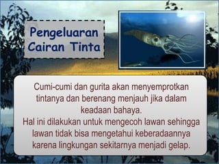 Pengeluaran
Cairan Tinta
Cumi-cumi dan gurita akan menyemprotkan
tintanya dan berenang menjauh jika dalam
keadaan bahaya.
Hal ini dilakukan untuk mengecoh lawan sehingga
lawan tidak bisa mengetahui keberadaannya
karena lingkungan sekitarnya menjadi gelap.
 