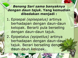 Benang Sari sama banyaknya
dengan daun tajuk. Yang kemudian
dibedakan menjadi :

1. Episepal (episepalus) artinya
berhadapan dengan daun-daun
kelopak. Berarti pula berseling
dengan daun-daun tajuk.
2. Epipetalus (epipetlus) artinya
berhadapan dengan daun-daun
tajuk. Berari berseling dengan
daun-daun kelopak.

 