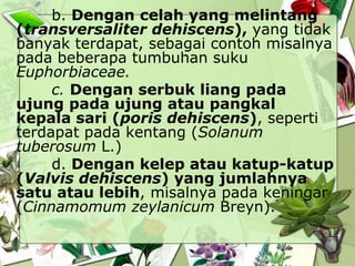 b. Dengan celah yang melintang
(transversaliter dehiscens), yang tidak
banyak terdapat, sebagai contoh misalnya
pada beberapa tumbuhan suku
Euphorbiaceae.
c. Dengan serbuk liang pada
ujung pada ujung atau pangkal
kepala sari (poris dehiscens), seperti
terdapat pada kentang (Solanum
tuberosum L.)
d. Dengan kelep atau katup-katup
(Valvis dehiscens) yang jumlahnya
satu atau lebih, misalnya pada keningar
(Cinnamomum zeylanicum Breyn).

 