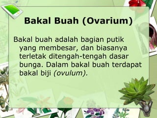 Bakal Buah (Ovarium)
Bakal buah adalah bagian putik
yang membesar, dan biasanya
terletak ditengah-tengah dasar
bunga. Dalam bakal buah terdapat
bakal biji (ovulum).

 
