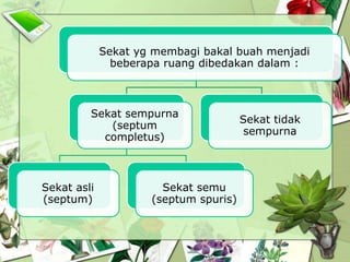 Sekat yg membagi bakal buah menjadi
beberapa ruang dibedakan dalam :

Sekat sempurna
(septum
completus)

Sekat asli
(septum)

Sekat semu
(septum spuris)

Sekat tidak
sempurna

 