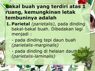 Bakal buah yang terdiri atas 1
ruang, kemungkinan letak
tembuninya adalah
1. Parietal (parietalis), pada dinding
bakal-bakal buah. Dibedakan lagi
menjadi :
- pada dinding tepi daun buah
(parietalis-marginalis)
- pada dinding di helaian daun buah
(parietalis-laminalis)

 