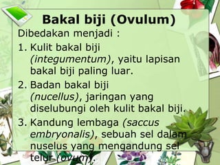 Bakal biji (Ovulum)
Dibedakan menjadi :
1. Kulit bakal biji
(integumentum), yaitu lapisan
bakal biji paling luar.
2. Badan bakal biji
(nucellus), jaringan yang
diselubungi oleh kulit bakal biji.
3. Kandung lembaga (saccus
embryonalis), sebuah sel dalam
nuselus yang mengandung sel
telur (ovum).

 
