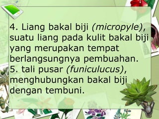 4. Liang bakal biji (micropyle),
suatu liang pada kulit bakal biji
yang merupakan tempat
berlangsungnya pembuahan.
5. tali pusar (funiculucus),
menghubungkan bakal biji
dengan tembuni.

 