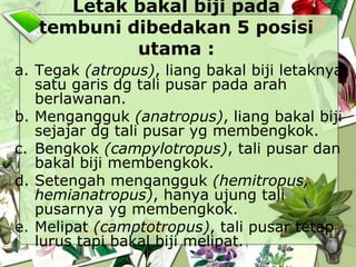 Letak bakal biji pada
tembuni dibedakan 5 posisi
utama :
a. Tegak (atropus), liang bakal biji letaknya
satu garis dg tali pusar pada arah
berlawanan.
b. Mengangguk (anatropus), liang bakal biji
sejajar dg tali pusar yg membengkok.
c. Bengkok (campylotropus), tali pusar dan
bakal biji membengkok.
d. Setengah mengangguk (hemitropus,
hemianatropus), hanya ujung tali
pusarnya yg membengkok.
e. Melipat (camptotropus), tali pusar tetap
lurus tapi bakal biji melipat.

 