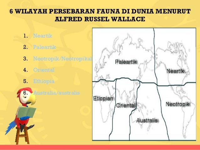 Persebaran Fauna Menurut Alfred Russel Wallace Kita Persebaran Fauna Menurut Alfred Russel Wallace Kita