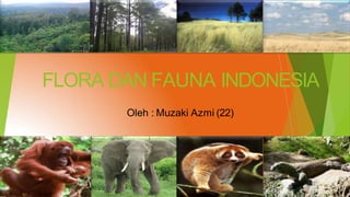 FLORA DAN FAUNA INDONESIA
Oleh : Muzaki Azmi (22)
 