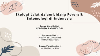 Ekologi Lalat dalam bidang Forensik
Entomologi di Indonesia
Disusun Oleh :
NEDYA BELLINAWATI
(04112682327001)
Dosen Pembimbing :
dr. Dalilah, M.Kes
Tugas Mata Kuliah
FORENSIK ENTOMOLOGI
 