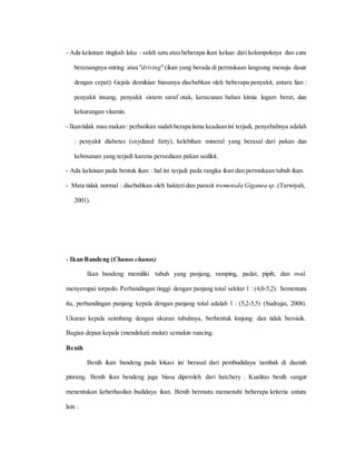 - Ada kelainan tingkah laku : salah satu atau beberapa ikan keluar dari kelompoknya dan cara
berenangnya miring atau "driving"(ikan yang berada di permukaan langsung menuju dasar
dengan cepat). Gejala demikian biasanya disebabkan oleh beberapa penyakit, antara lian :
penyakit insang, penyakit sistem saraf otak, keracunan bahan kimia logam berat, dan
kekurangan vitamin.
- Ikantidak mau makan :perhatikan sudah berapa lama keadaanini terjadi, penyebabnya adalah
: penyakit diabetes (oxydized fatty), kelebihan mineral yang berasal dari pakan dan
kebosanan yang terjadi karena persediaan pakan sedikit.
- Ada kelainan pada bentuk ikan : hal ini terjadi pada rangka ikan dan permukaan tubuh ikan.
- Mata tidak normal : disebabkan oleh bakteri dan parasit tremotoda Giganea sp. (Tarwiyah,
2001).
- Ikan Bandeng (Chanos chanos)
Ikan bandeng memiliki tubuh yang panjang, ramping, padat, pipih, dan oval.
menyerupai torpedo. Perbandingan tinggi dengan panjang total sekitar 1 : (4,0-5,2). Sementara
itu, perbandingan panjang kepala dengan panjang total adalah 1 : (5,2-5,5) (Sudrajat, 2008).
Ukuran kepala seimbang dengan ukuran tubuhnya, berbentuk lonjong dan tidak bersisik.
Bagian depan kepala (mendekati mulut) semakin runcing.
Benih
Benih ikan bandeng pada lokasi ini berasal dari pembudidaya tambak di daerah
pinrang. Benih ikan bendeng juga biasa diperoleh dari hatchery . Kualitas benih sangat
menentukan keberhasilan budidaya ikan. Benih bermutu memenuhi beberapa kriteria antara
lain :
 