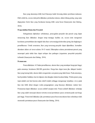 Ikan yang ukurannya lebih kecil biasanya kalah bersaing dalam perebutan makanan.
Oleh sebab itu, secara rutin perlu dilakukan pemisahan ukuran, dalam lubang jaring yang sama
diupayakan berisi ikan yang berukuran kurang lebih sama besar (Sunaryanto dan Ginting,
2014).
Pengendalian Hama dan Penyakit
Sebagaimana dijelaskan sebelumnya, pencegahan penyakit dan parasit yang dapat
menyerang ikan dilakukan dengan tetap menjaga kualitas air, secara rutin mengamati
kesehatan,pertumbuhan dan tingkah laku ikan serta menjaga kebersihan jaring dan lingkungan
pemeliharaan. Untuk sementara, ikan yang terserang penyakit dapat dipisahkan, kemudian
direndam dalam air tawar selama 10-15 menit. Diharapkan selama perendaman parasit yang
menempel pada tubuh ikan dapat terlepas dan pathogen (organisme penyebab penyakit)
terbunuh (Sunaryanto dan Ginting, 2014).
Pemanenan
Panendilakukan 4-5 bulan pemeliharaan, ukuran ikan yang mendapat harga jual tinggi
pada umumnya berukuran 200-500 gram/ekor. Harga ikan dapat turun jika didapati kondisi
ikan yang kurang baik, ukuran tidak seragamdan cara panenyang tidak benar. Pada umumnya,
hasil produksi budidaya laut ini dipanen dan diangkut dalam keadaanhidup. Waktu panen yang
tepat adalah sore hari karena suhu relatif rendah sehingga mengurangi terjadinya stress pada
ikan dan lebih dekat dengan waktu pengangkutan yang biasanya dilakukan malam hari.
Pemanenan dapat dilakukan secara selektif ataupun total. Panen selektif dilakukan terhadap
ikan yang sudah mencapai ukuran tertentu sesuai permintaan pasar, terutama pada saat harga
jual tinggi. Panentotal dilakukan jika permintaan pasar besaratauukuran ikan seluruhnya telah
memenuhi permintaan pasar (Sunaryanto dan Ginting, 2014).
 