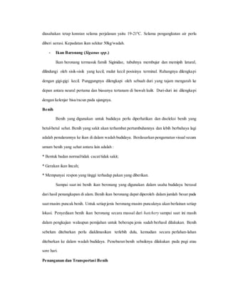 diusahakan tetap konstan selama perjalanan yaitu 19-210
C. Selama pengangkutan air perlu
diberi aerasi. Kepadatan ikan sekitar 50kg/wadah.
- Ikan Baronang (Siganus spp.)
Ikan beronang termasuk famili Siginidae, tubuhnya membujur dan memipih latural,
dilindungi oleh sisik-sisik yang kecil, mulut kecil posisinya terminal. Rahangnya dilengkapi
dengan gigi-gigi kecil. Punggungnya dilengkapi oleh sebuah duri yang tajam mengarah ke
depan antara neural pertama dan biasanya tertanam di bawah kulit. Duri-duri ini dilengkapi
dengan kelenjar bisa/racun pada ujungnya.
Benih
Benih yang digunakan untuk budidaya perlu diperhatikan dan diseleksi benih yang
betul-betul sehat. Benih yang sakit akan terhambat pertumbuhannya dan lebih berbahaya lagi
adalah penularannya ke ikan di dalam wadah budidaya. Berdasarkan pengamatan visual secara
umum benih yang sehat antara lain adalah :
* Bentuk badan normal/tidak cacat/tidak sakit;
* Gerakan ikan lincah;
* Mempunyai respon yang tinggi terhadap pakan yang diberikan.
Sampai saat ini benih ikan beronang yang digunakan dalam usaha budidaya berasal
dari hasil penangkapan di alam. Benih ikan beronang dapat diperoleh dalam jumlah besar pada
saatmusim puncak benih. Untuk setiap jenis beronang musim puncaknya akan berlainan setiap
lokasi. Penyediaan benih ikan beronang secara massal dari hatchery sampai saat ini masih
dalam pengkajian walaupun pemijahan untuk beberapa jenis sudah berhasil dilakukan. Benih
sebelum ditebarkan perlu diaklimasikan terlebih dulu, kemudian secara perlahan-lahan
ditebarkan ke dalam wadah budidaya. Penebaran benih sebaiknya dilakukan pada pagi atau
sore hari.
Penanganan dan Transportasi Benih
 