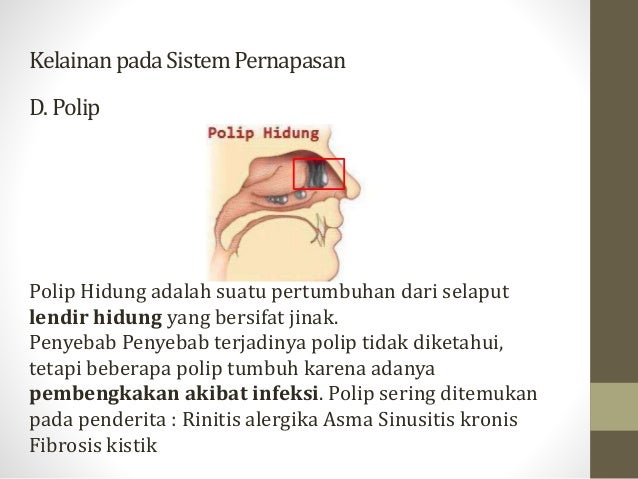 Patofisiologi sistem pernapasan Patofisiologi sistem pernapasan