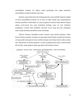 menyebabkan rusaknya sel, adanya respon peradangan dan sangat berpotensi
menyebabkan masalah kesehatan yang serius.
Stimulus yang terlalu berat dan berlangsung lama serta melebihi kapasitas adaptif
sel akan menyebabkan kematian sel di mana sel tidak mampu lagi mengompensasi
tuntutan perubahan. Sekelompok sel yang mengalami kematian dapat dikenali dengan
adanya enzim-enzim lisis yang melarutkan berbagai unsur sel serta timbulnya
peradangan. Leukosit akan membantu mencerna sel-sel yang mati dan selanjutnya
mulai terjadi perubahan-perubahan secara morfologis.
Nekrosis biasanya disebabkan karena stimulus yang bersifat patologis. Selain
karena stimulus patologis, kematian sel juga dapat terjadi melalui mekanisme kematian
sel yang sudah terprogram di mana setelah mencapai masa hidup tertentu maka sel akan
mati. Mekanisme ini disebut apoptosis, sel akan menghancurkan dirinya sendiri (bunuh
diri/suicide), tetapi apoptosis dapat juga dipicu oleh keadaan iskemia.
12
 