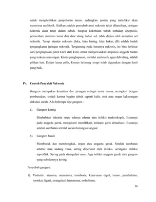 untuk menghentikan penyebaran racun, sedangkan pasien yang terinfeksi akan
menerima antibiotik. Bahkan setelah penyebab awal nekrosis telah dihentikan, jaringan
nekrotik akan tetap dalam tubuh. Respon kekebalan tubuh terhadap apoptosis,
pemecahan otomatis turun dan daur ulang bahan sel, tidak dipicu oleh kematian sel
nekrotik. Terapi standar nekrosis (luka, luka baring, luka bakar, dll) adalah bedah
pengangkatan jaringan nekrotik. Tergantung pada beratnya nekrosis, ini bisa berkisar
dari penghapusan patch kecil dari kulit, untuk menyelesaikan amputasi anggota badan
yang terkena atau organ. Kimia penghapusan, melalui enzimatik agen debriding, adalah
pilihan lain. Dalam kasus pilih, khusus belatung terapi telah digunakan dengan hasil
yang baik.
IV. Contoh Penyakit Nekrosis
Gangren merupakan kematian dari jaringan sebagai suatu massa, seringkali dengan
pembusukan, terjadi karena bagian tubuh seperti kulit, otot atau organ kekurangan
sirkulasi darah. Ada beberapa tipe gangren :
a). Gangren kering
Disebabkan iskemia tanpa adanya edema atau infeksi makroskopik. Biasanya
pada anggota gerak, mengalami mumifikasi, terdapat garis demarkasi. Biasanya
setelah sumbatan arterial secara berangsur-angsur.
b). Gangren basah
Membusuk dan membengkak, organ atau anggota gerak. Setelah sumbatan
arterial atau kadang vena, sering dipersulit oleh infeksi, seringkali infeksi
saprofitik. Sering pada strangulasi usus. Juga infeksi anggota gerak dari gangren
yang sebelumnya kering.
Penyebab gangren:
1). Vaskular: ateroma, aneurisma, trombosis, keracunan ergot, tumor, pembalutan,
torniket, ligasi, strangulasi, hematoma, embolisme.
16
 