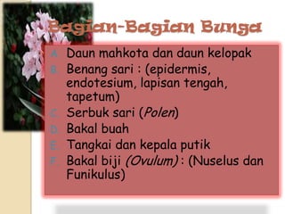 Bagian-Bagian Bunga
A. Daun mahkota dan daun kelopak
B. Benang sari : (epidermis,
endotesium, lapisan tengah,
tapetum)
C. Serbuk sari (Polen)
D. Bakal buah
E. Tangkai dan kepala putik
F. Bakal biji (Ovulum) : (Nuselus dan
Funikulus)
 