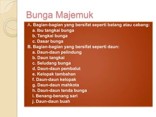 Bunga Majemuk
A. Bagian-bagian yang bersifat seperti batang atau cabang:
a. Ibu tangkai bunga
b. Tangkai bunga
c. Dasar bunga
B. Bagian-bagian yang bersifat seperti daun:
a. Daun-daun pelindung
b. Daun tangkai
c. Seludang bunga
d. Daun-daun pembalut
e. Kelopak tambahan
f. Daun-daun kelopak
g. Daun-daun mahkota
h. Daun-daun tenda bunga
i. Benang-benang sari
j. Daun-daun buah
 